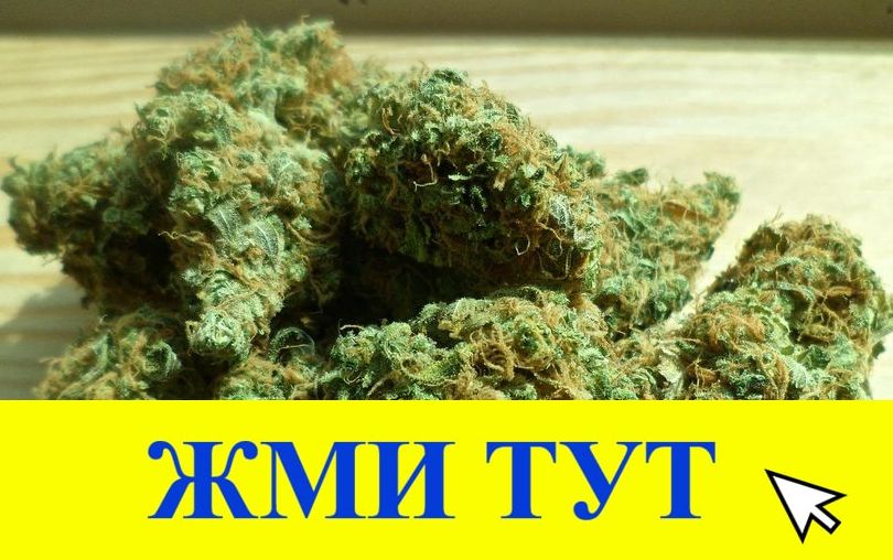 Купить наркотики в Дятьково